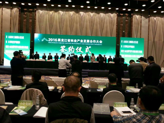 仟億達831999碳交易業界影響力較強,副總田衛然接受黑龍江廣播電視臺采訪