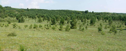 仟億達(dá)集團(tuán)與國營御道口牧場達(dá)成造林碳匯項目合作 仟億達(dá)集團(tuán)與國營御道口牧場達(dá)成造林碳匯項目合作