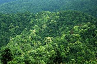 仟億達碳資產交易 幫人類找回一個干凈的文明社會 仟億達碳資產交易 幫人類找回一個干凈的文明社會