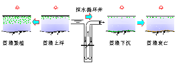 深井增壓控制水體藍藻生長繁殖原理  深井增壓控制水體藍藻生長繁殖原理