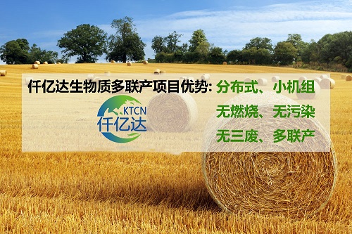 生物質多聯產 生物質多聯產