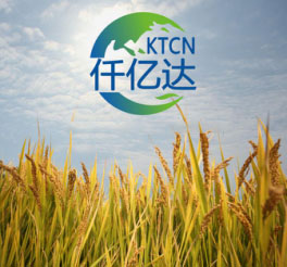 生物質多聯產2 生物質多聯產2